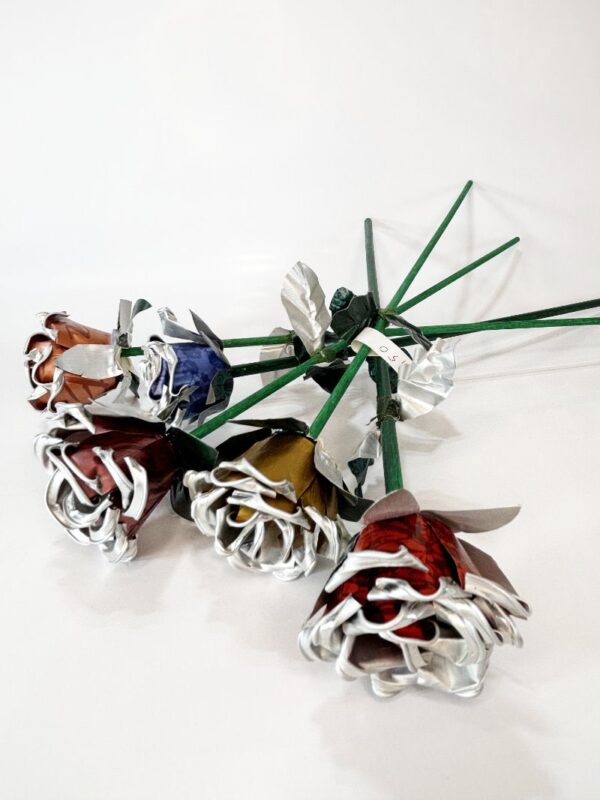 Rosen – langstielig und langlebig